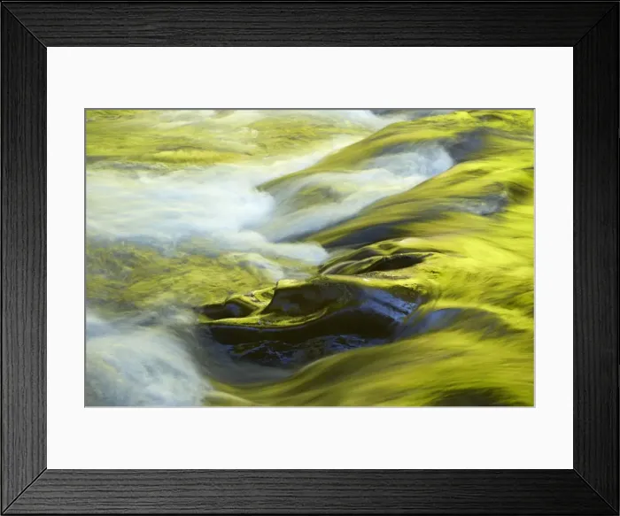 Framed Print : Sol Duc River with surrounding forest reflecting in water Olympic National Park, Washington State, USA LA001486 Framed Print : Sol Duc River with surrounding forest reflecting in water Olympic National Park, Washington State, USA LA001486