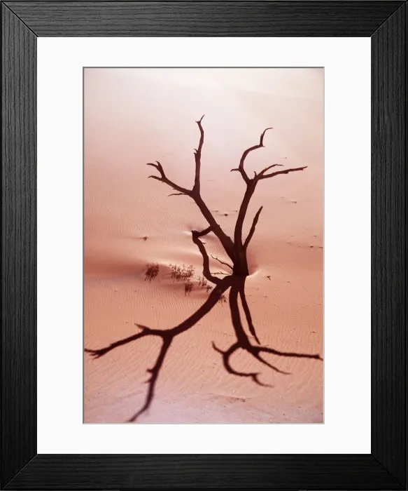 Framed Print : DESERT - dead tree and sand dunes Framed Print : DESERT - dead tree and sand dunes