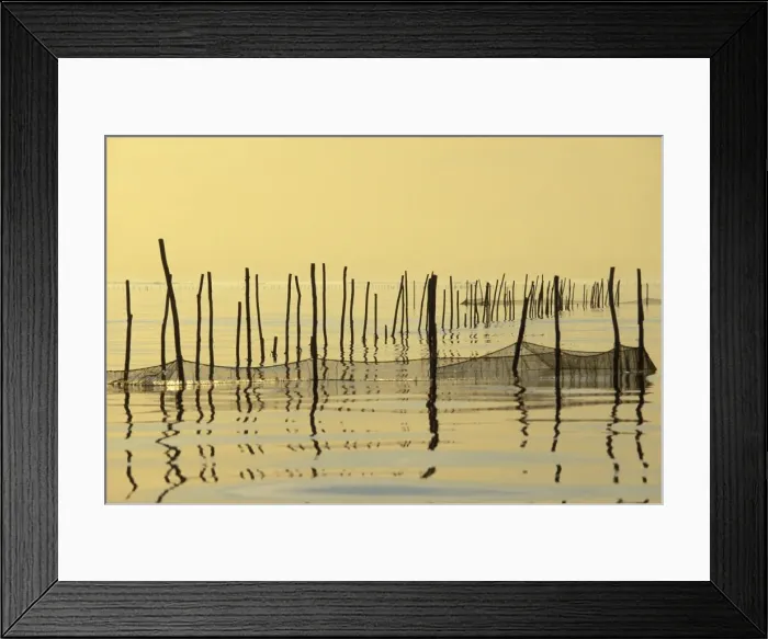 Framed Print : Italy - Venice Lagoon with fishing nets Framed Print : Italy - Venice Lagoon with fishing nets