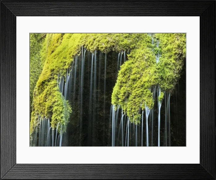 Framed Print : Veil fall - water cascading down sinter deposits covered with moss Bavaria, Germany Framed Print : Veil fall - water cascading down sinter deposits covered with moss Bavaria, Germany