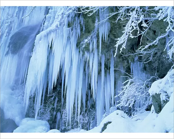 Frozen waterfall icicles and frosty plants Bad Urach, Baden-Wuerttemberg, Germany