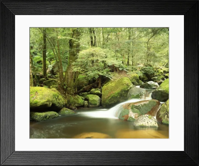 Framed Print : Australia Taggerty River, Keppel falls scenic Reserve. Marysville, Victoria Framed Print : Australia Taggerty River, Keppel falls scenic Reserve. Marysville, Victoria