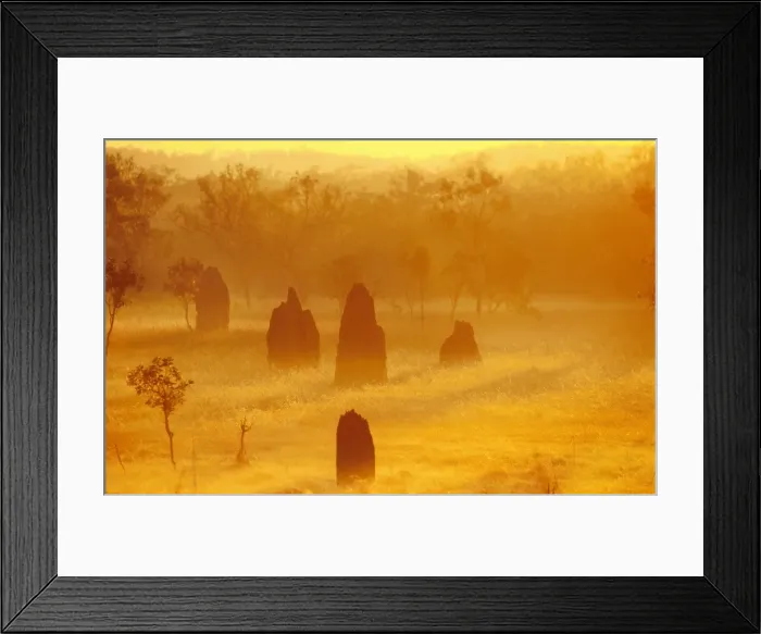 Framed Print : Termite mounds - at sunrise Framed Print : Termite mounds - at sunrise