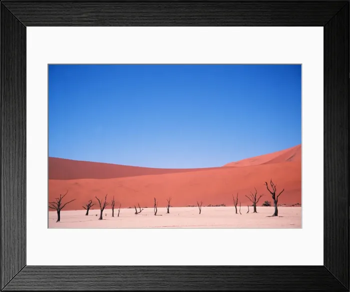 Framed Print : NAMIB DESERT - Dead Trees and Sand Dunes Framed Print : NAMIB DESERT - Dead Trees and Sand Dunes