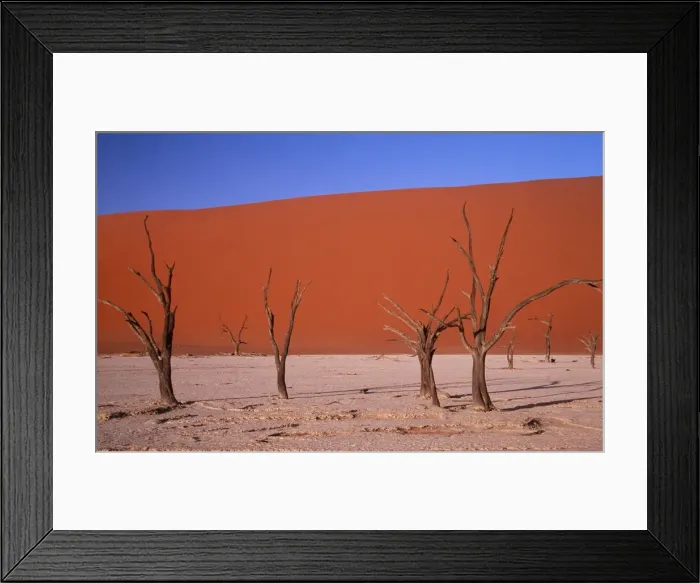 Framed Print : Namib Desert - Dead Trees & Sand Dunes Framed Print : Namib Desert - Dead Trees & Sand Dunes