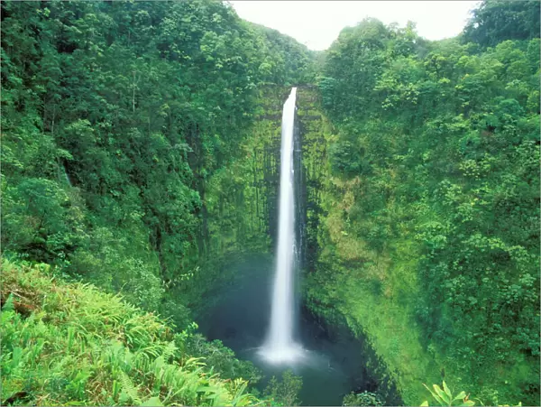 Hawaii Akaka Falls, Big Island