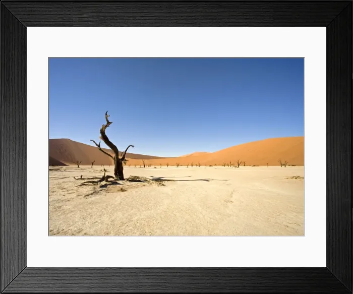 Framed Print : Dead Vlei trees. Sossusvlei - Namib Desert, Namibia, Africa Framed Print : Dead Vlei trees. Sossusvlei - Namib Desert, Namibia, Africa