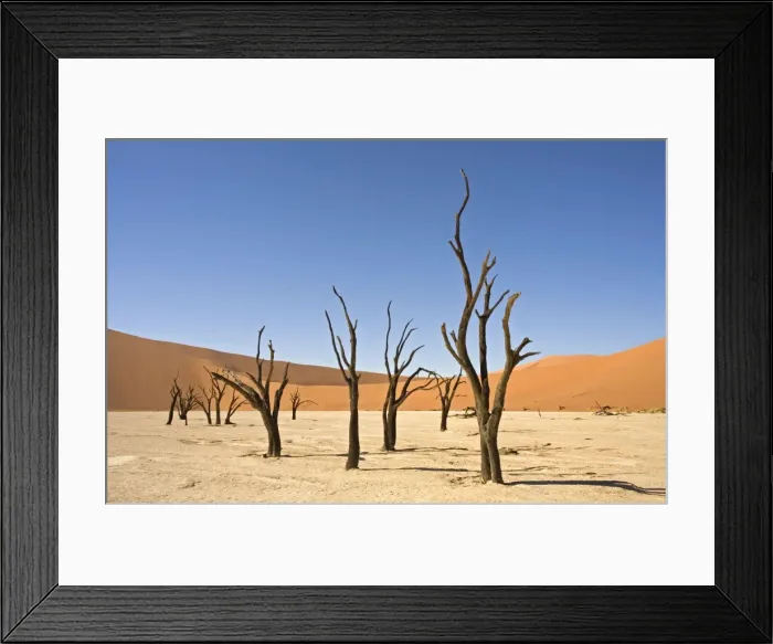 Framed Print : Dead Vlei Trees. Sossus Vlei - Namib Desert, Namibia, Africa Framed Print : Dead Vlei Trees. Sossus Vlei - Namib Desert, Namibia, Africa