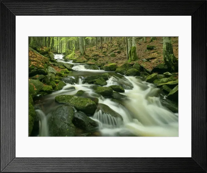 Framed Print : Stream in forest with moss covered rocks in primeval forest Bavarian Forest National Park, Bavaria, Germany Framed Print : Stream in forest with moss covered rocks in primeval forest Bavarian Forest National Park, Bavaria, Germany