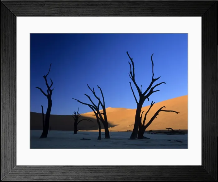 Framed Print : Dead Vlei silhouettes of dead camelthorn trees in dune namib Dead Vlei, Namib Naukluft Park, Namibia, Africa Framed Print : Dead Vlei silhouettes of dead camelthorn trees in dune namib Dead Vlei, Namib Naukluft Park, Namibia, Africa