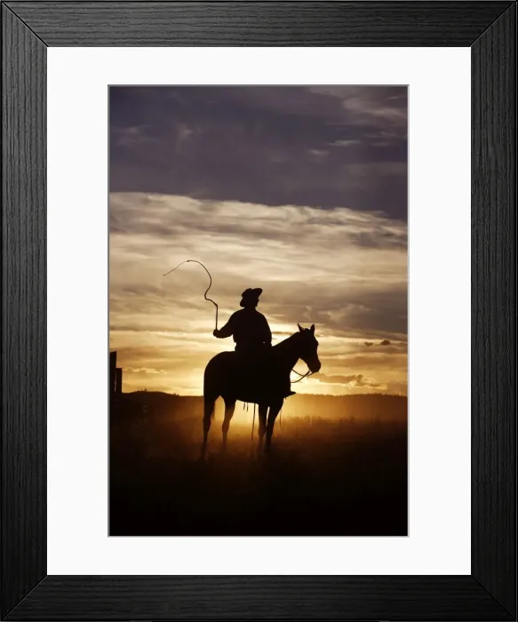 Framed Print : Cow boy avec cheval de la race Quarter horse et / ou Paint des USA Framed Print : Cow boy avec cheval de la race Quarter horse et / ou Paint des USA