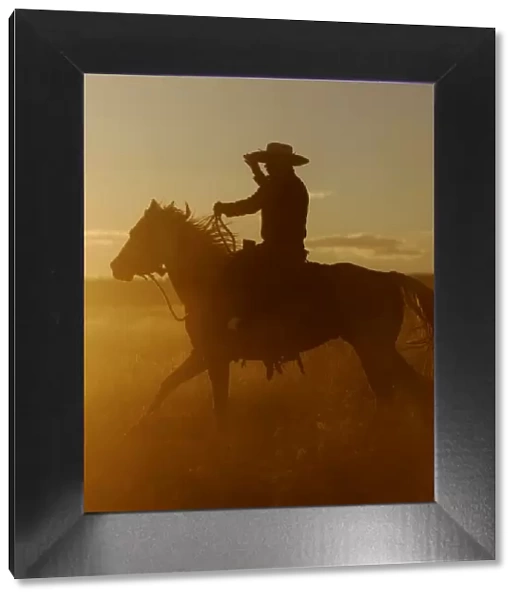 Cattleman riding Quarter  /  Paint Horse - at sunset. Ponderosa Ranch - Seneca - Oregon - USA