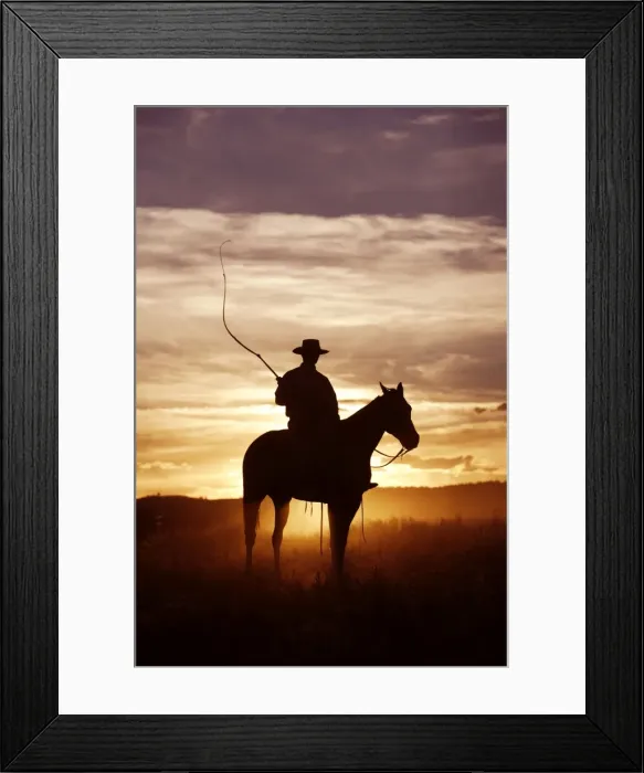 Framed Print : Cow boy avec cheval de la race Quarter horse et / ou Paint des USA Framed Print : Cow boy avec cheval de la race Quarter horse et / ou Paint des USA