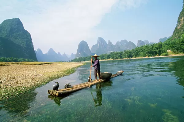 China - fisherman with Cormorant birds. Li River, Guangxi Zhuangzu Province