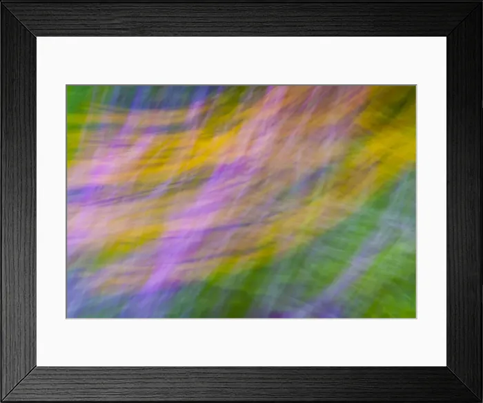 Framed Print : Private Garden - abstract image of flower beds - Lower Saxony - Gerrmany Framed Print : Private Garden - abstract image of flower beds - Lower Saxony - Gerrmany