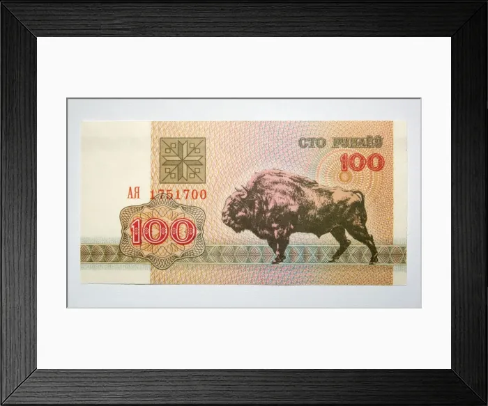 Framed Print : Banknote - Old Belorussia uncirculated banknote 100 roubles - depicting European Bison of Bialowieza Nature Reserve En44. 0001 Framed Print : Banknote - Old Belorussia uncirculated banknote 100 roubles - depicting European Bison of Bialowieza Nature Reserve En44. 0001