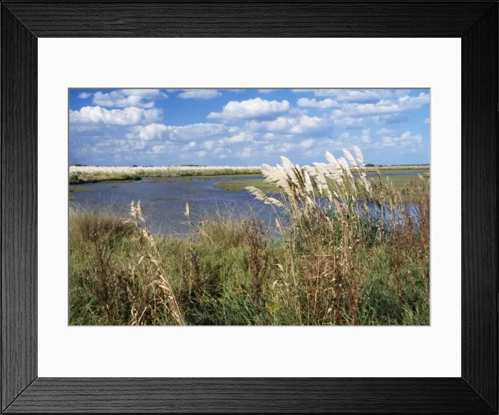 Framed Print : Argentina Pampa, Salado Depression, Province of Buenos Aires Framed Print : Argentina Pampa, Salado Depression, Province of Buenos Aires