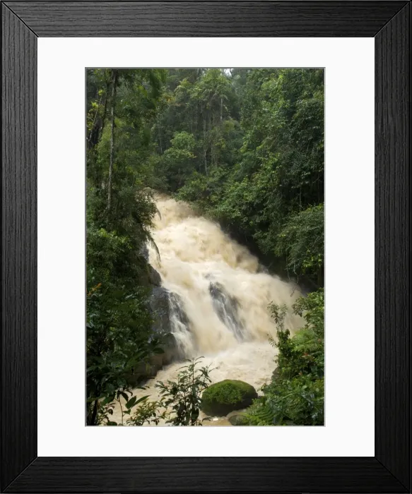Framed Print : Forest stream in flood during heavy rain - Malaysia cameron highlands Framed Print : Forest stream in flood during heavy rain - Malaysia cameron highlands