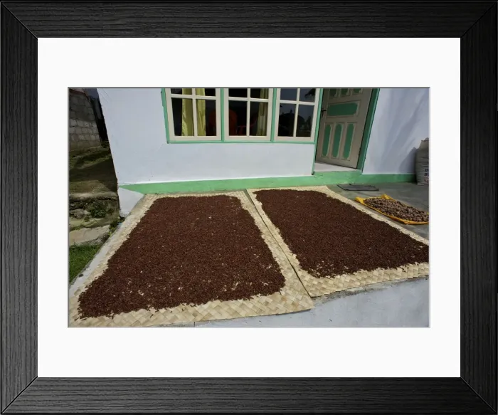 Framed Print : Cloves - drying in the streets - Spice Islands - Indonesia Framed Print : Cloves - drying in the streets - Spice Islands - Indonesia