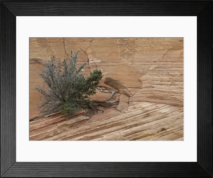 Framed Print : Zion National Park - Utah - USA - showing cross-bedded layers in sandstone Framed Print : Zion National Park - Utah - USA - showing cross-bedded layers in sandstone