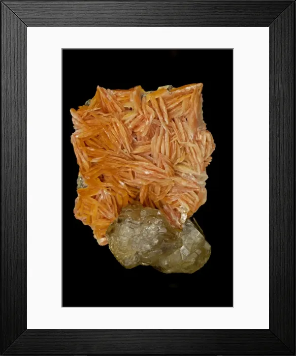 Framed Print : Cerrusite and Barite (orange) - Mbladen Mine - Morocco Framed Print : Cerrusite and Barite (orange) - Mbladen Mine - Morocco