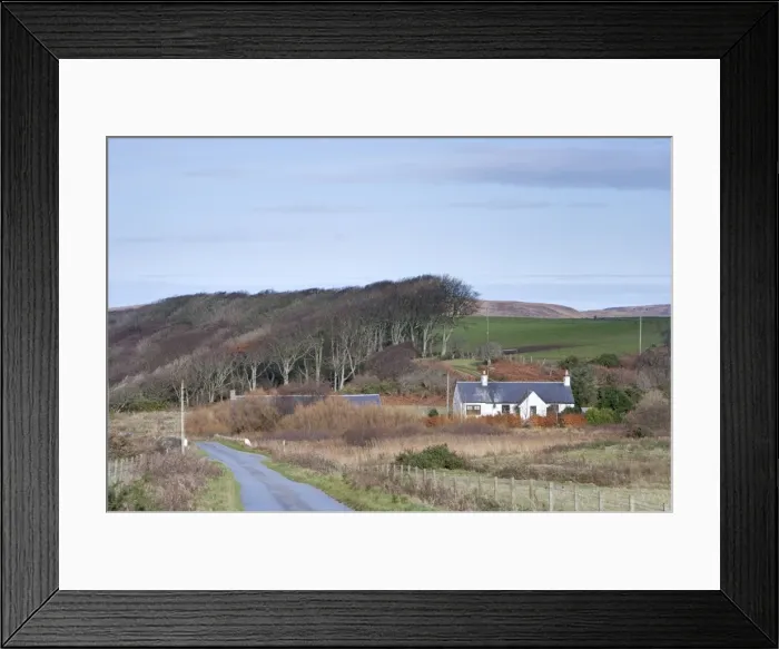 Framed Print : Trees shaped by wind by side of road - Islay - Scotland - UK LA005481 Framed Print : Trees shaped by wind by side of road - Islay - Scotland - UK LA005481