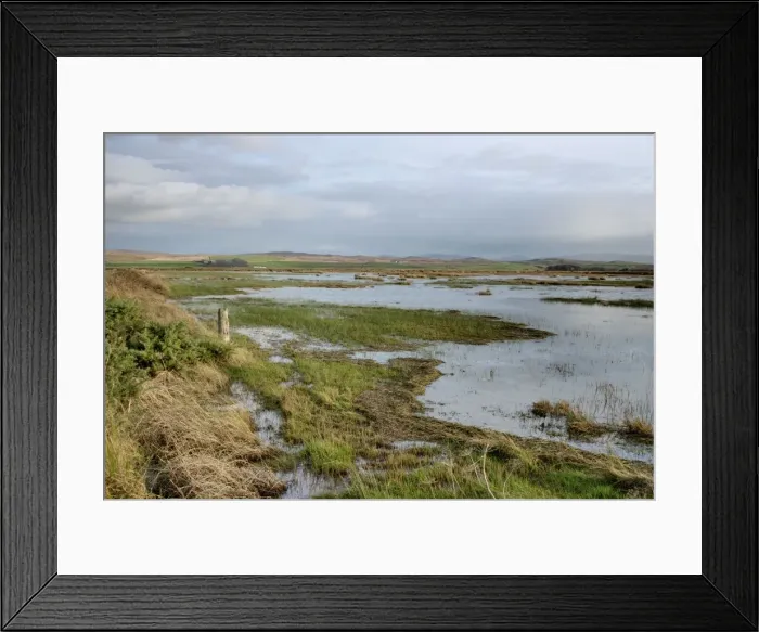 Framed Print : Loch Gruinart RSPB Reserve view from hide - Islay - Scotland - UK LA005485 Framed Print : Loch Gruinart RSPB Reserve view from hide - Islay - Scotland - UK LA005485
