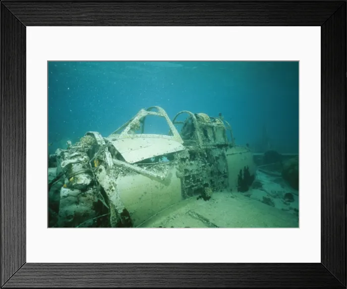 Framed Print : Wreck DOC 204 Japanese aircraft, Truck Lagoon, Indo Pacific. © Doc White / ardea. com Framed Print : Wreck DOC 204 Japanese aircraft, Truck Lagoon, Indo Pacific. © Doc White / ardea. com