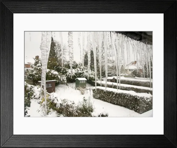 Framed Print : Icicles - hanging from roof gutter - UK Framed Print : Icicles - hanging from roof gutter - UK