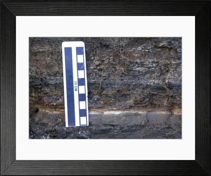 Framed Print : GEOLOGY: K-T boundary Close-up of the K-T boundary claystone layer at the Sussex locality, Wyoming, USA. At bottom of the image is the mudstone of the Lance Formation (Cretaceous)