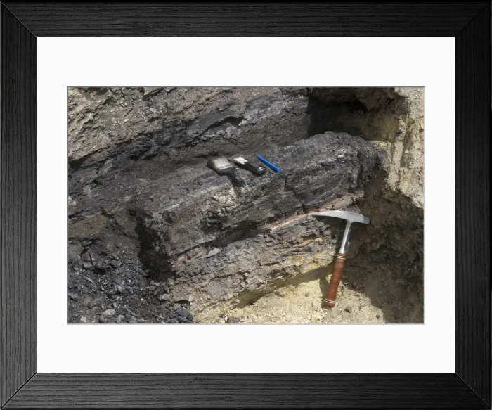 Framed Print : GEOLOGY: K-T boundary K-T boundary Sussex locality, Wyoming, USA. The tip of the hammer points to the K-T boundary claystone layer. Below it is a mudstone deposit of the Lance Formation (Cretaceous) Framed Print : GEOLOGY: K-T boundary K-T boundary Sussex locality, Wyoming, USA. The tip of the hammer points to the K-T boundary claystone layer. Below it is a mudstone deposit of the Lance Formation (Cretaceous)