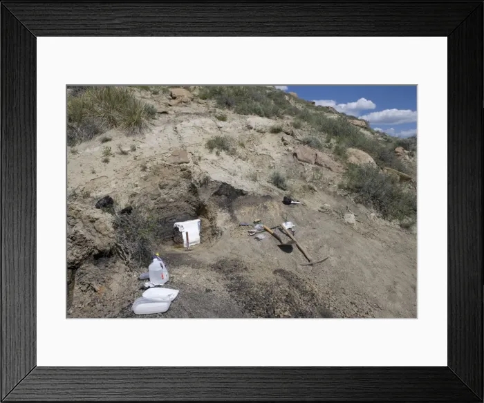 Framed Print : GEOLOGY: K-T boundary Sussex site, north of Casper, Wyoming Collecting a sample of rock at the K-T boundary for museum display. The sample includes Cretaceous rocks under the boundary, the boundary layer Framed Print : GEOLOGY: K-T boundary Sussex site, north of Casper, Wyoming Collecting a sample of rock at the K-T boundary for museum display. The sample includes Cretaceous rocks under the boundary, the boundary layer