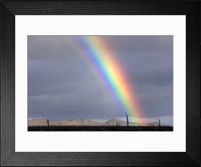 Framed Print : Rainbow in the Central Desert of Baja California, Mexico. Only a few Cirios or Boojum'(Idria columnaris), yuccas and cresote bushes, grow in this region Framed Print : Rainbow in the Central Desert of Baja California, Mexico. Only a few Cirios or Boojum'(Idria columnaris), yuccas and cresote bushes, grow in this region