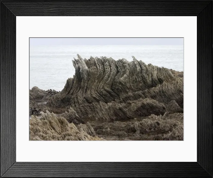 Framed Print : Limestone layers, folded and upthrusted as a consequence of tectonic plates motion along the west coast of New Zealand. Height rocky outcrop is about 2 meters. Kaikoura Peninsula, New Zealand (South Island)