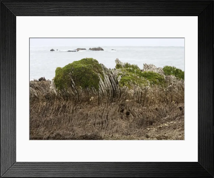 Framed Print : Limestone layers, folded and upthrusted as a consequence of tectonic plates motion along the west coast of New Zealand. Height rocky outcrop is about 2 meters. Kaikoura Peninsula, New Zealand (South Island) Framed Print : Limestone layers, folded and upthrusted as a consequence of tectonic plates motion along the west coast of New Zealand. Height rocky outcrop is about 2 meters. Kaikoura Peninsula, New Zealand (South Island)