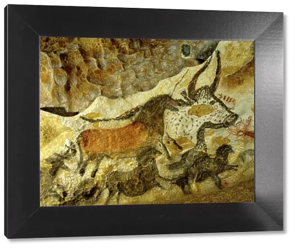Lascaux cave painting Period: Paleolithic, c. 18, 000 years ago, Vezere Valley, Dordogne, France JFL00048