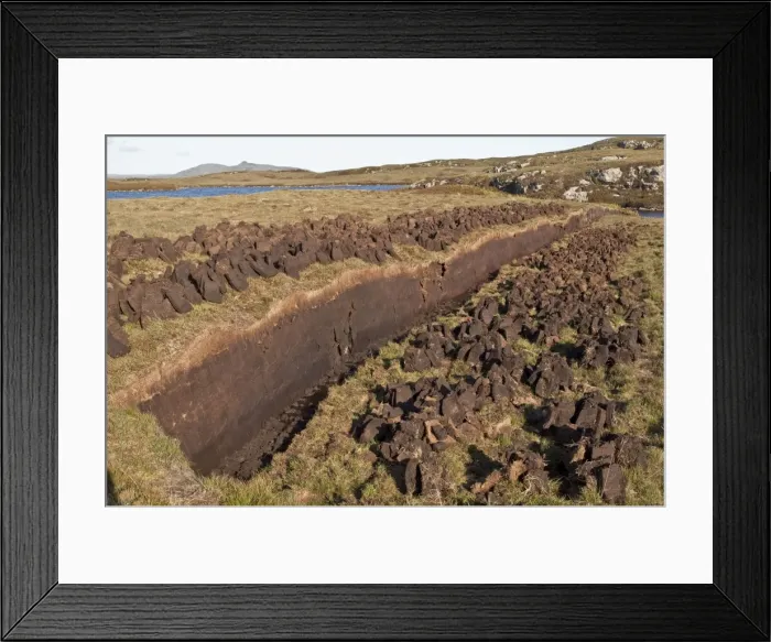 Framed Print : Peat cutting - peat used for domestic fires - North Uist - Outer Hebrides - Scotland Framed Print : Peat cutting - peat used for domestic fires - North Uist - Outer Hebrides - Scotland