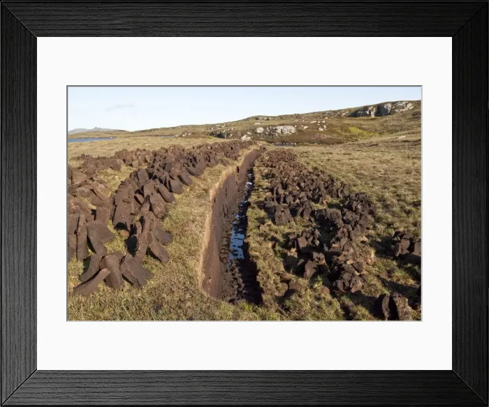 Framed Print : Peat cutting - with cut peat left to dry for domestic fires - North Uist - Outer Hebrides - Scotland Framed Print : Peat cutting - with cut peat left to dry for domestic fires - North Uist - Outer Hebrides - Scotland