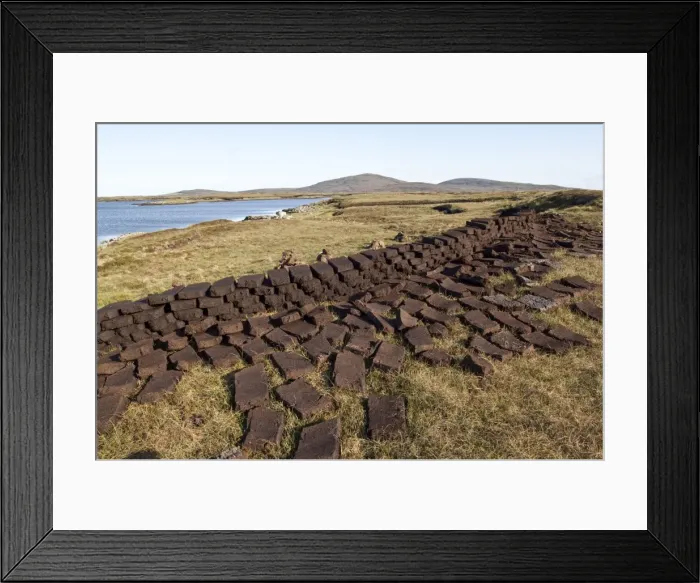Framed Print : Cut peat - left to dry for domestic fires - North Uist - Outer Hebrides - Scotland Framed Print : Cut peat - left to dry for domestic fires - North Uist - Outer Hebrides - Scotland