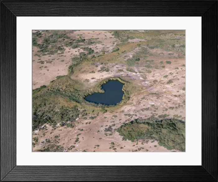 Framed Print : Australia Mound springs bringing to surface hot, heavily mineralised artesian water. water habitat for rare endemic wildlife. Witjira National Park Dalhousie Springs, South Australia Framed Print : Australia Mound springs bringing to surface hot, heavily mineralised artesian water. water habitat for rare endemic wildlife. Witjira National Park Dalhousie Springs, South Australia