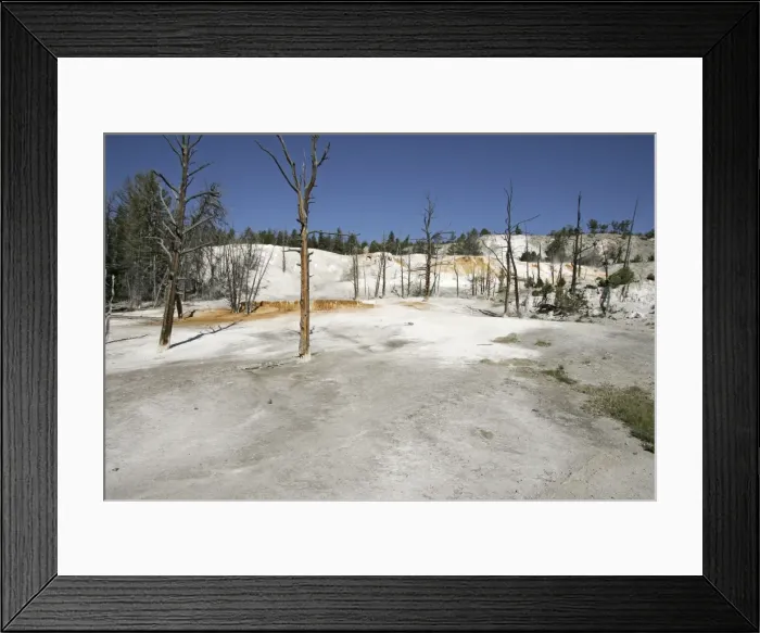Framed Print : Mammoth Hot Springs Yellowstone National Park, USA Framed Print : Mammoth Hot Springs Yellowstone National Park, USA