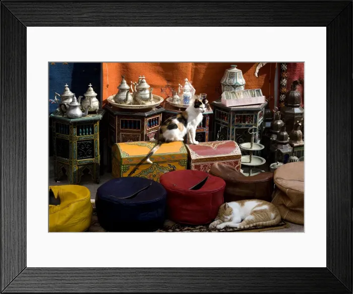 Framed Print : Cats - two sleeping in market. Morocco Framed Print : Cats - two sleeping in market. Morocco