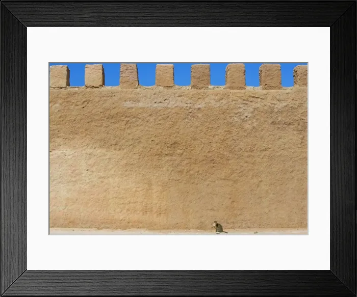 Framed Print : Cat - tabby cat sitting by large wall - Morocco