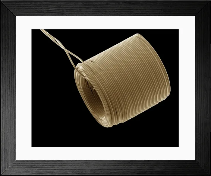 Framed Print : Scanning Electron Micrograph (SEM); Catheter; Magnification x 160 (A4 size: 29. 7 cm width) Framed Print : Scanning Electron Micrograph (SEM); Catheter; Magnification x 160 (A4 size: 29. 7 cm width)