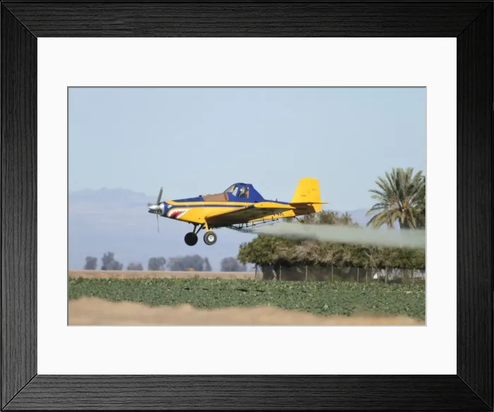 Framed Print : Aeroplane - crop duster spraying agricultural fields in southern California in January - USA Framed Print : Aeroplane - crop duster spraying agricultural fields in southern California in January - USA
