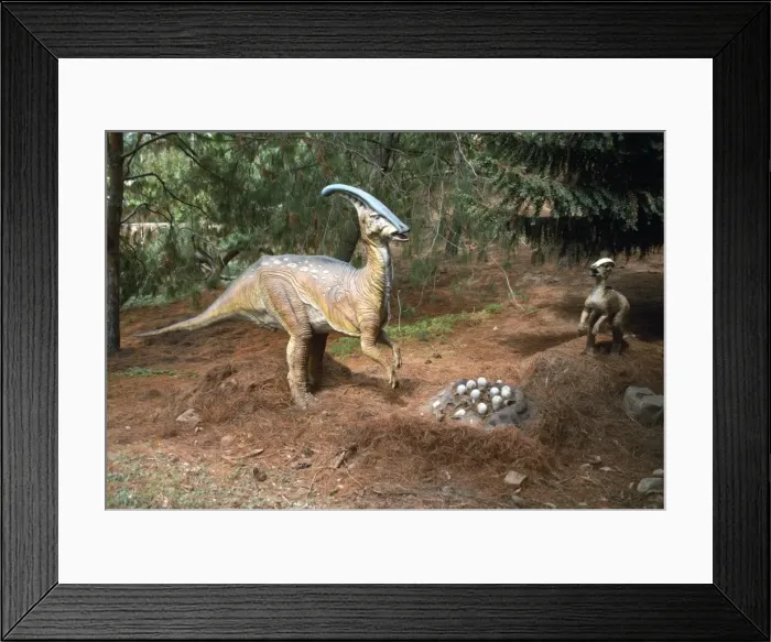 Framed Print : Prehistoric Reconstruction - Hadrosaur / Parasaurolophus - Western North America Framed Print : Prehistoric Reconstruction - Hadrosaur / Parasaurolophus - Western North America