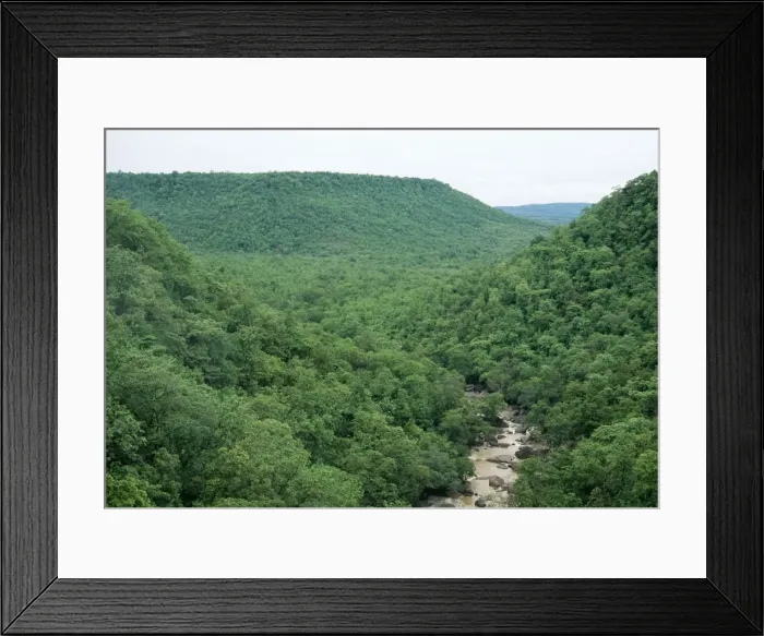 Framed Print : India Monsoon season. Panna National Park, Dhundwa India Framed Print : India Monsoon season. Panna National Park, Dhundwa India