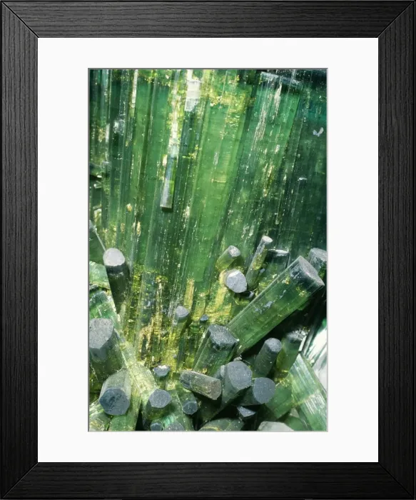 Framed Print : Tourmaline - Elbaite on Quartz Minas Gerais, Brasil Framed Print : Tourmaline - Elbaite on Quartz Minas Gerais, Brasil