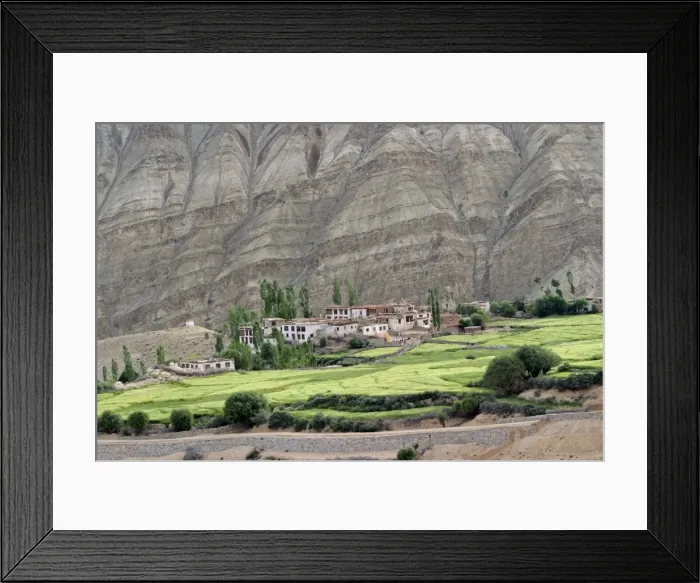 Framed Print : Ladakh village in Indus valley, India Framed Print : Ladakh village in Indus valley, India