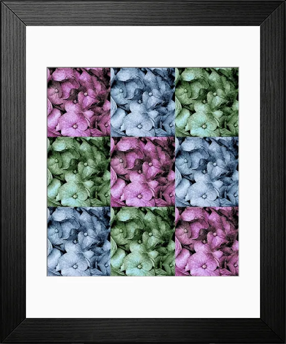 Framed Print : Flowers - abstract
